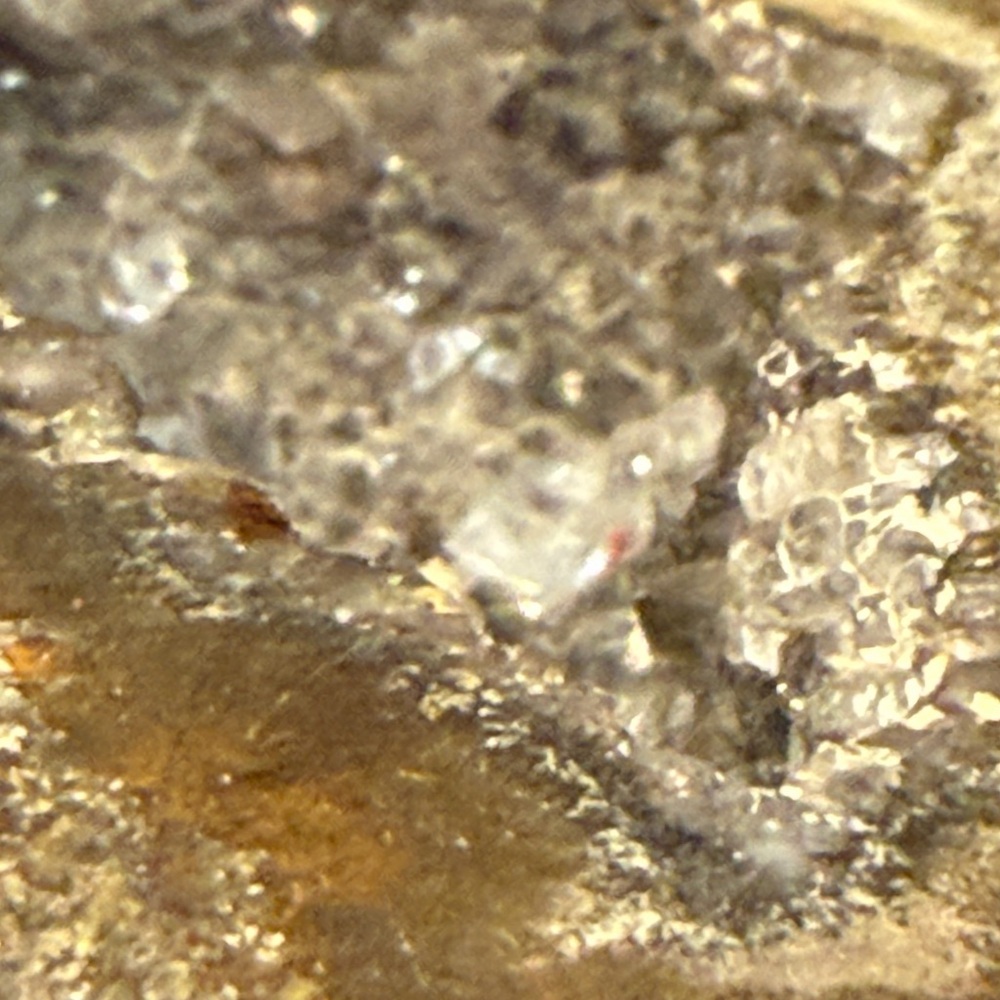 Natural Geode Crystal Display - Picture 3 of 7